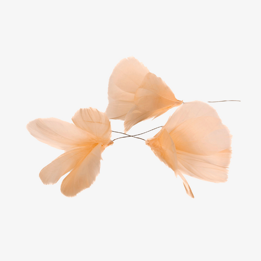 FJÄDERBLOM, 12-pack